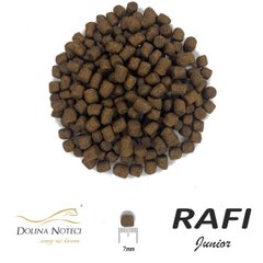 Сухий корм для цуценят Dolina Noteci RAFI Junior з ягням, 10 кг