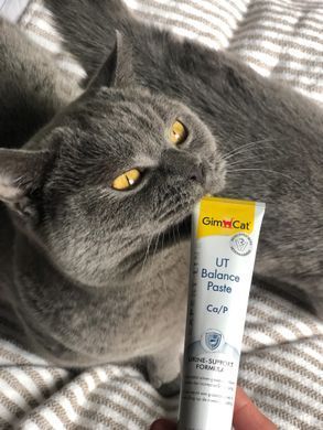 Вітаміни та добавки для котів Вітамінна паста GimCat Expert Line UT Balance для котів, 50 г