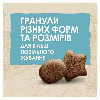 Сухий корм DOG CHOW Large Breed Puppy для цуценят до 2 років, з індичкою, 14 кг