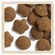 Сухий корм DOG CHOW Large Breed Puppy для цуценят до 2 років, з індичкою, 14 кг
