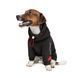 Одяг Одяг Худі Pet Fashion &laquo;Snoodie&raquo; для собак, розмір M, чорний