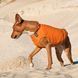 Одяг Одяг Жилет Pet Fashion &laquo;E.Vest&raquo; для собак, розмір M2, помаранчевий