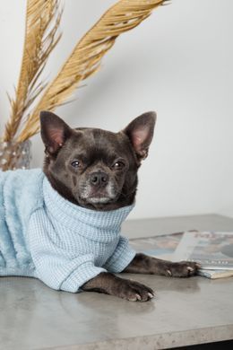 Одяг Одяг Светр Pet Fashion Fur для собак, розмір M