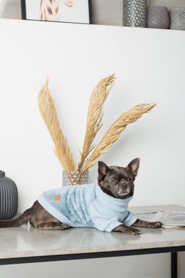 Одяг Одяг Светр Pet Fashion Fur для собак, розмір M
