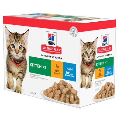 Hill's Science Plan Kitten Chicken and Trout 85 г (6+6 шт)