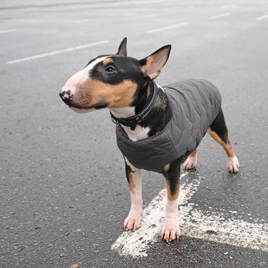 Одяг Одяг Жилет Pet Fashion &laquo;E.Vest&raquo; для собак, розмір M2, сірий