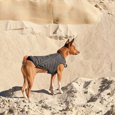 Одяг Одяг Жилет Pet Fashion &laquo;E.Vest&raquo; для собак, розмір M2, сірий