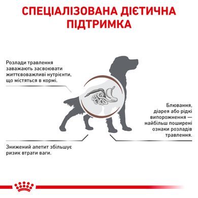 ROYAL CANIN GASTRO INTESTINAL DOG 2 кг