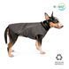 Одяг Одяг Жилет Pet Fashion &laquo;E.Vest&raquo; для собак, розмір M2, сірий