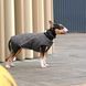 Одяг Одяг Жилет Pet Fashion &laquo;E.Vest&raquo; для собак, розмір M2, сірий