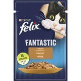 Вологий корм FELIX Fantastic для дорослих котів, шматочки в желе, з індичкою, 85 г