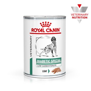 ROYAL CANIN DIABETIC SPECIAL LC DOG Cans 410 г
