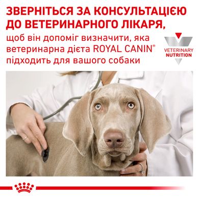 ROYAL CANIN DIABETIC SPECIAL LC DOG Cans 410 г