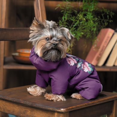 Одяг Одяг Костюм Pet Fashion Lola для дівчаток, розмір S, бузковий