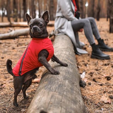 Одяг Одяг Жилет Pet Fashion &laquo;E.Vest&raquo; для собак, розмір M2, червоний