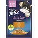 Вологий корм FELIX Fantastic Junior для кошенят, шматочки в желе, з куркою, 85 г