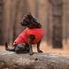 Одяг Одяг Жилет Pet Fashion &laquo;E.Vest&raquo; для собак, розмір M2, червоний