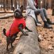 Одяг Одяг Жилет Pet Fashion &laquo;E.Vest&raquo; для собак, розмір M2, червоний