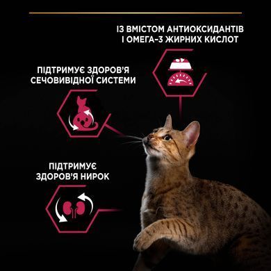 Сухий корм PRO PLAN Sterilised Adult 1+ Savoury Duo для дорослих стерилізованих котів, з тріскою та фореллю, 10 кг