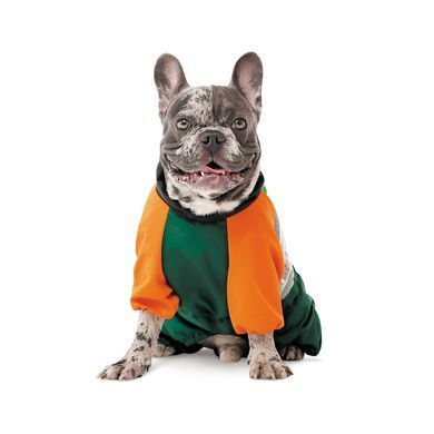 Одяг Одяг Дощовик Pet Fashion Marlie для собак S такса