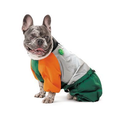 Одяг Одяг Дощовик Pet Fashion Marlie для собак S такса