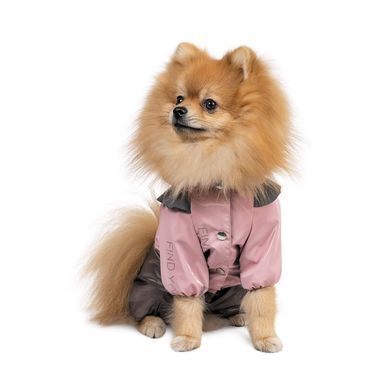 Одяг Одяг Дощовик Pet Fashion &laquo;Ariel&raquo; для дівчинки, розмір M, рожевий
