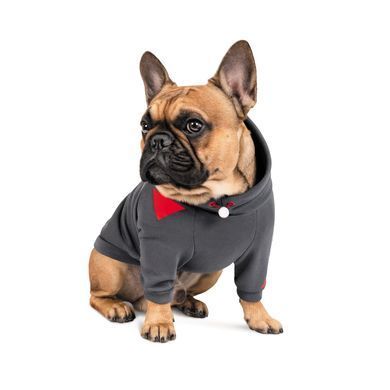 Одяг Одяг Худі Pet Fashion &laquo;Snoodie&raquo; для собак, розмір S, сірий