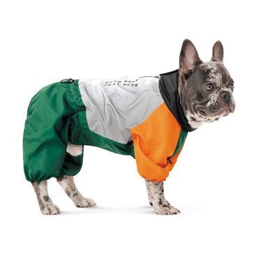 Одяг Одяг Дощовик Pet Fashion Marlie для собак S такса