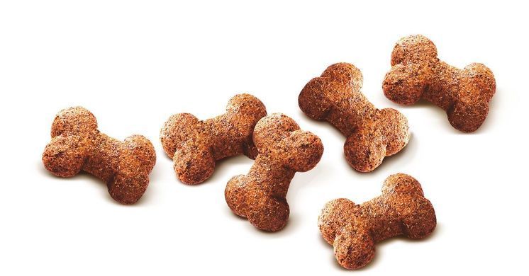 Ласощі Carnilove Dog Crunchy Snack для собак, м'ясо страуса та ожина, 200 г