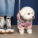 Одяг Одяг Дощовик Pet Fashion &laquo;Ariel&raquo; для дівчинки, розмір M, рожевий