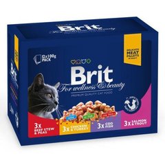 Brit Premium Cat Family Plate Beef Salmon Fisf Chicken Chunks in Gravy pouch 100г*12шт арт.100278/506255