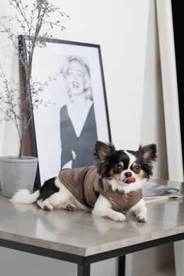 Одяг Одяг Жилет Pet Fashion Hardy для собак розмір XS