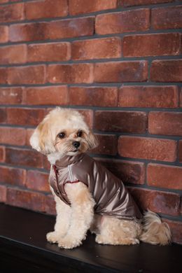 Одяг Одяг Жилет Pet Fashion Hardy для собак розмір XS