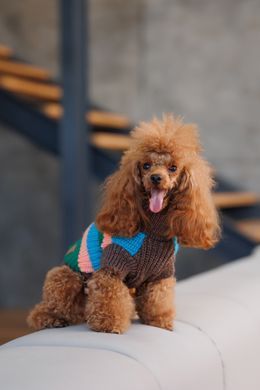 Одяг Одяг Светр Pet Fashion Happy для собак, розмір L