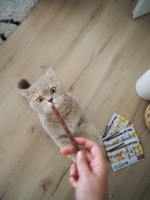Ласощі для котів М&rsquo;ясні палички GimCat для кішок, індичка та кролик, 4 шт