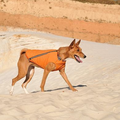 Одяг Одяг Жилет Pet Fashion &laquo;E.Vest&raquo; для собак, розмір S, помаранчевий