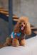 Одяг Одяг Светр Pet Fashion Happy для собак, розмір L
