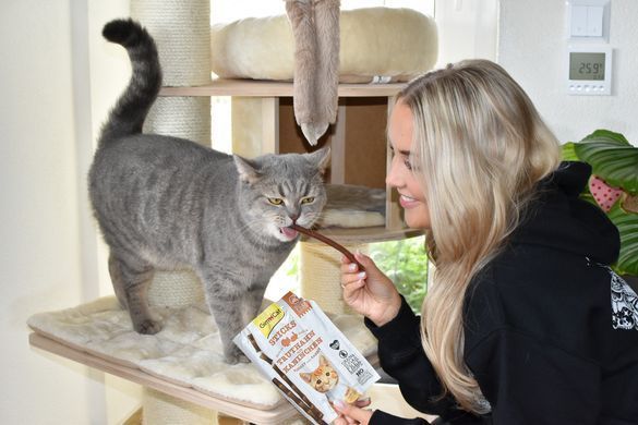 Ласощі для котів М&rsquo;ясні палички GimCat для кішок, індичка та кролик, 4 шт