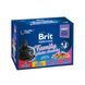 Вологий корм для котів Набір вологих кормів Brit Premium Cat Pouch &laquo;Сімейна тарілка&raquo; для котів, асорті із 4 смаків, 12 шт х 100 г