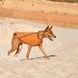 Одяг Одяг Жилет Pet Fashion &laquo;E.Vest&raquo; для собак, розмір S, помаранчевий