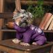 Одяг Одяг Костюм Pet Fashion Lola для дівчаток, розмір XS, бузковий
