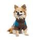 Одяг Одяг Светр Pet Fashion Happy для собак, розмір L