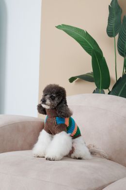 Одяг Одяг Светр Pet Fashion Happy для собак, розмір M