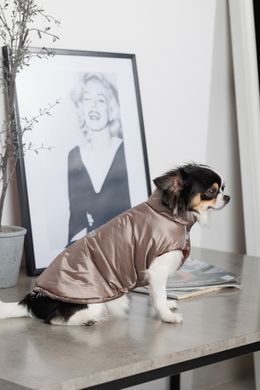 Одяг Одяг Жилет Pet Fashion Hardy для собак розмір XS2