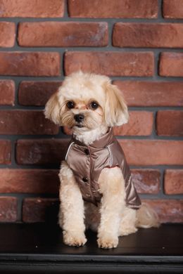 Одяг Одяг Жилет Pet Fashion Hardy для собак розмір XS2