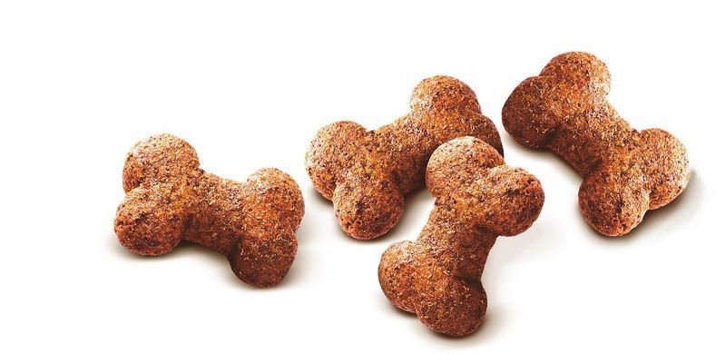 Ласощі Carnilove Dog Crunchy Snack для собак, ягня та журавлина, 200 г