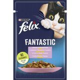 Вологий корм FELIX Fantastic для дорослих котів, шматочки в желе, з фореллю та зеленими бобами, 85 г