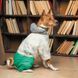 Одяг Одяг Костюм Pet Fashion Man для собак, розмір M, зелений