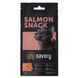 Ласощі для котів Хрумкі ласощі Savory Snack Подушечки для вибагливих котів, з лосось, 60 г