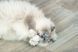 Іграшка Trixie Морозиво і тістечко плюш з котячою м'ятою для котів 7 см